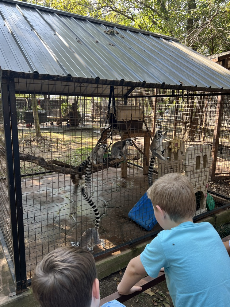 zoo