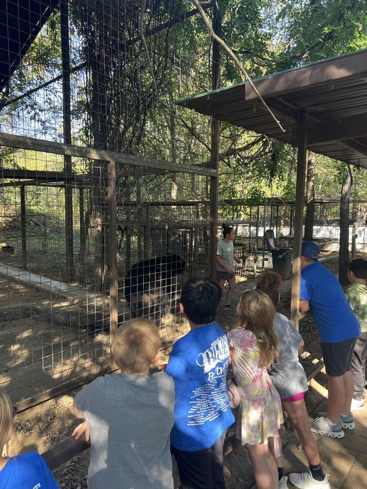 zoo