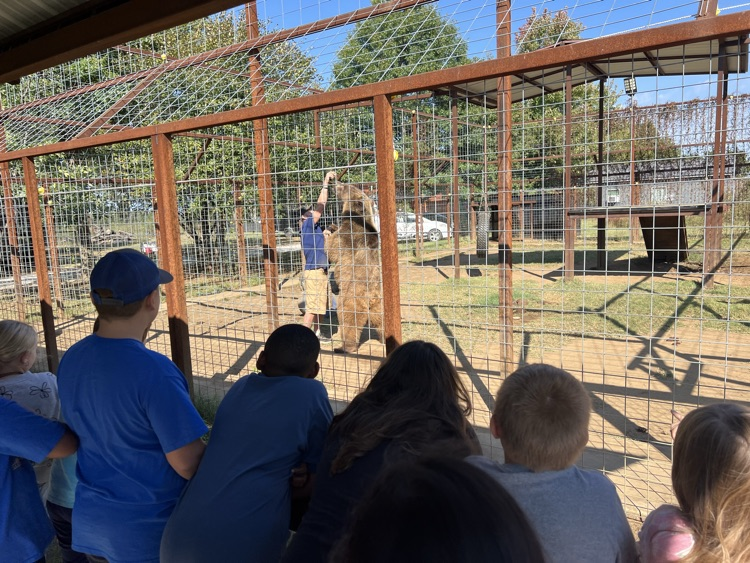 zoo