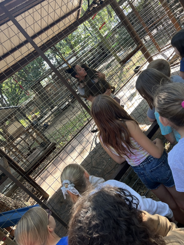 zoo