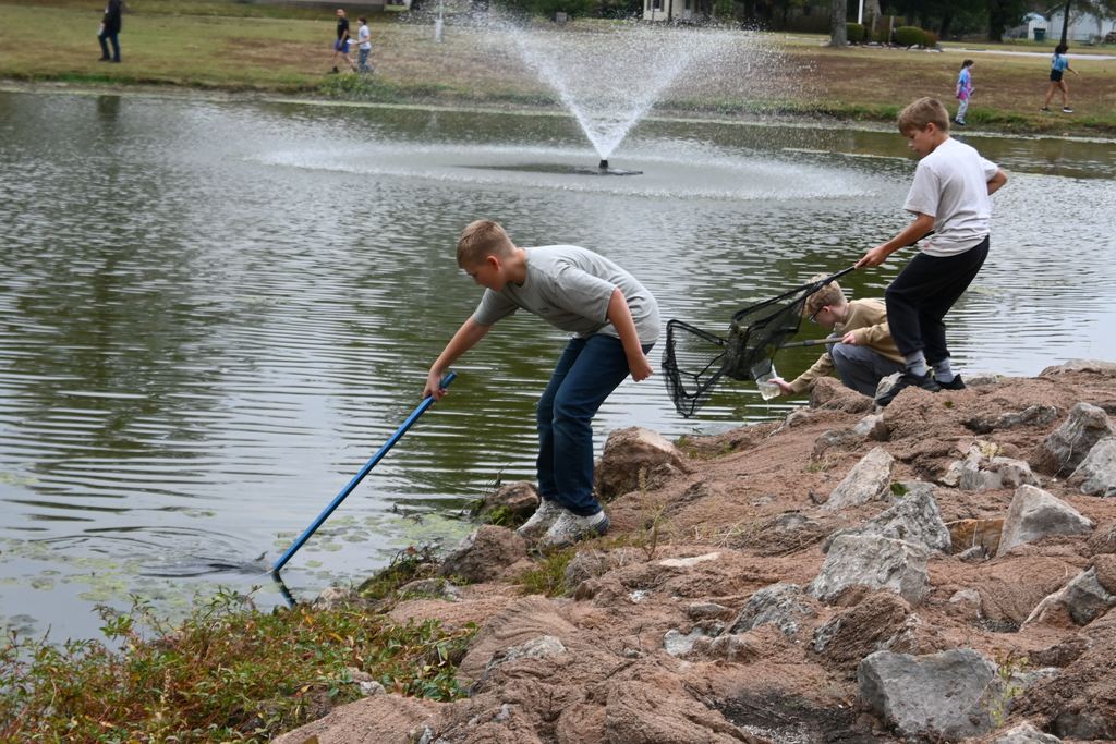 A group of boys use nets to scoop things from the pond.