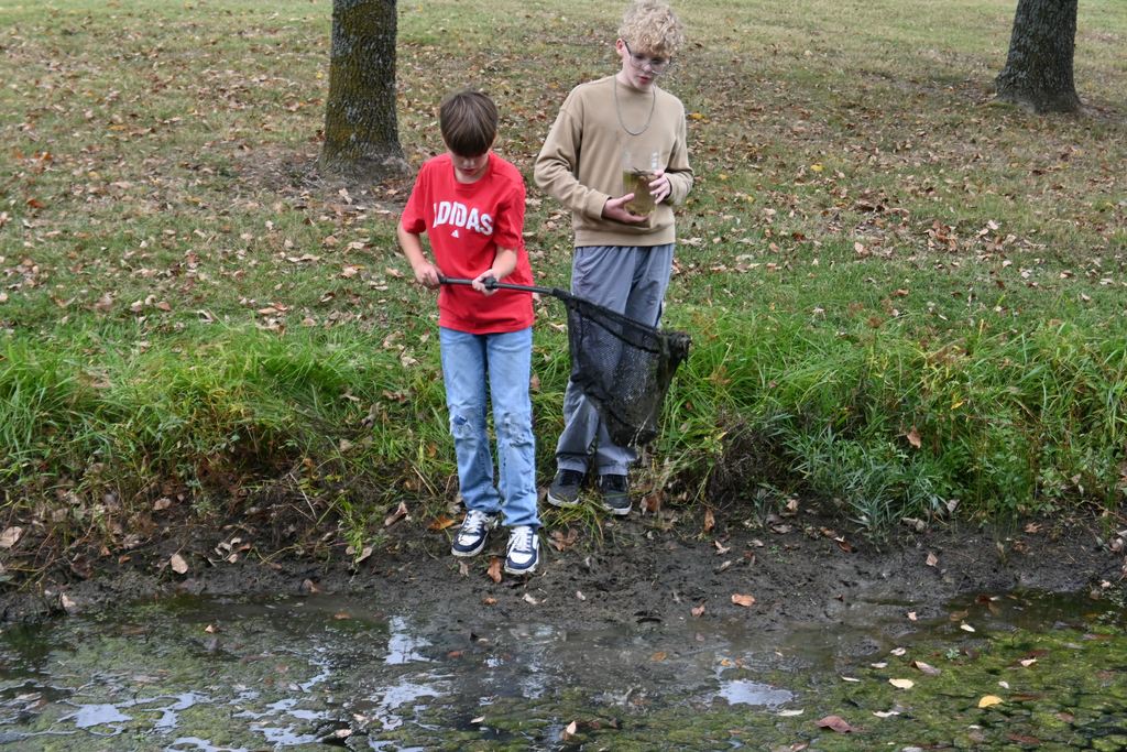 Two boys use a net to scoop living  things  from the pond
