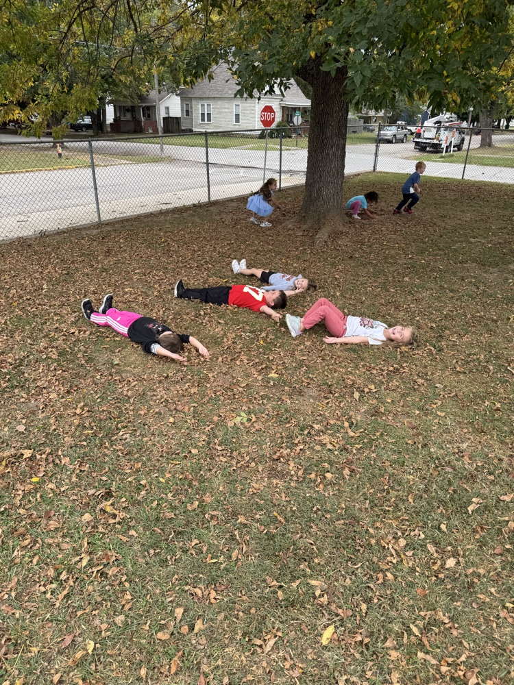 Fall