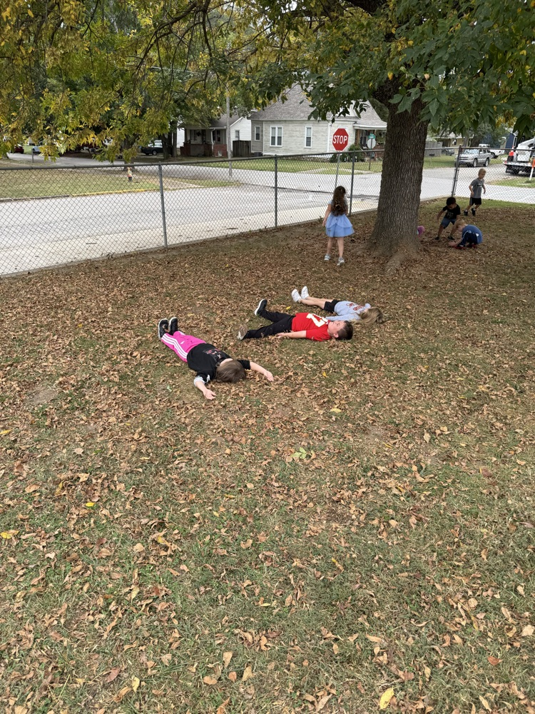 Fall