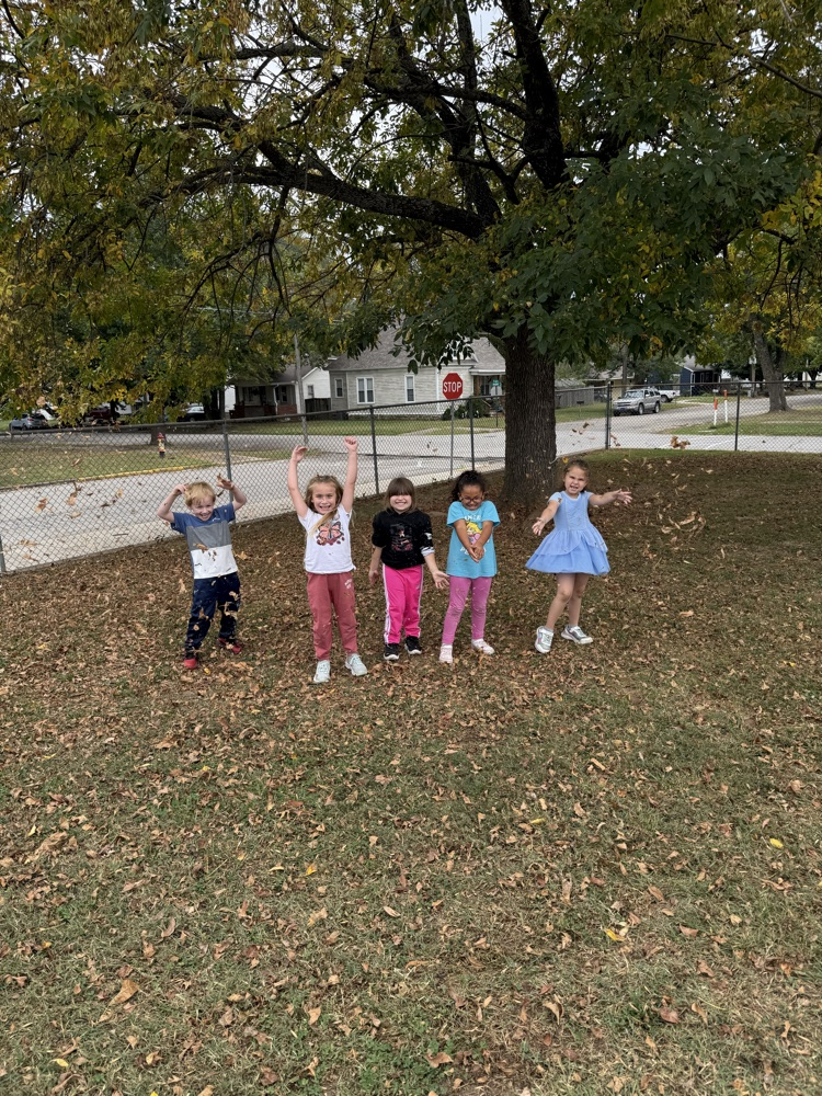Fall