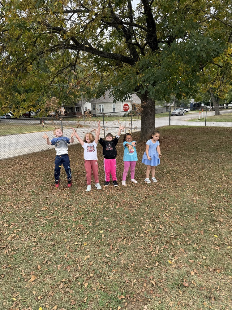 Fall