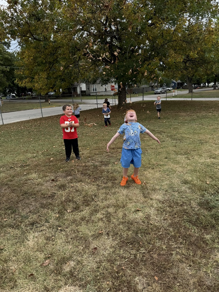Fall