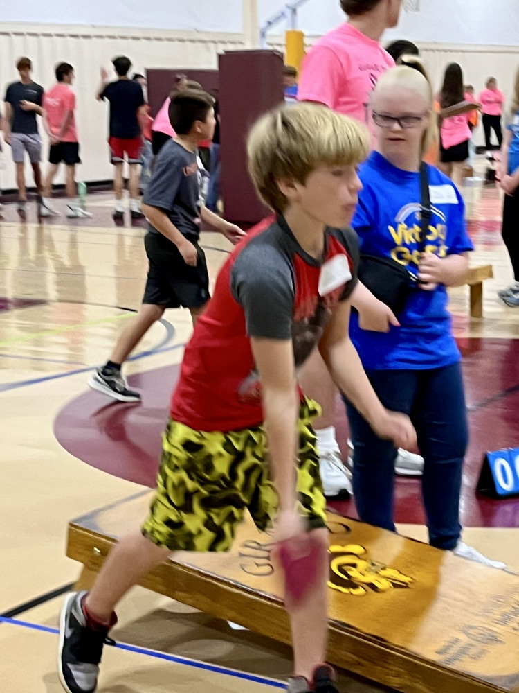 cornhole