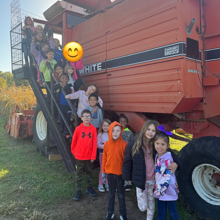 pumpkin patch
