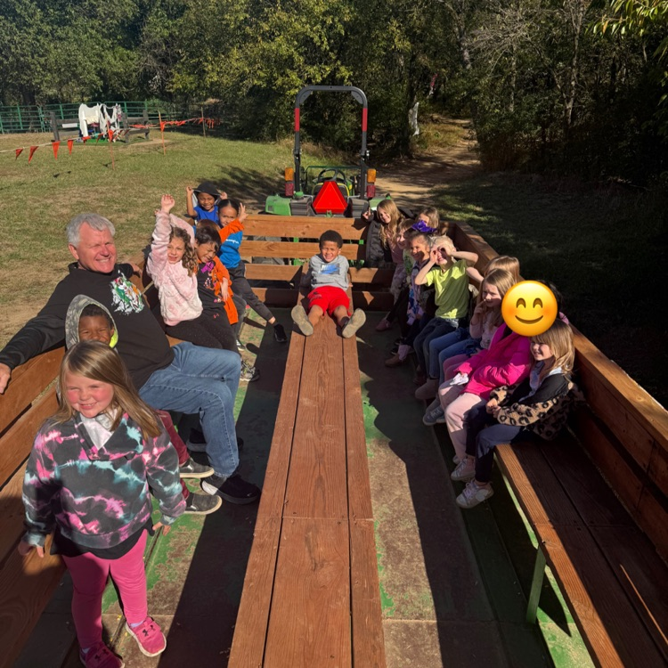 pumpkin patch