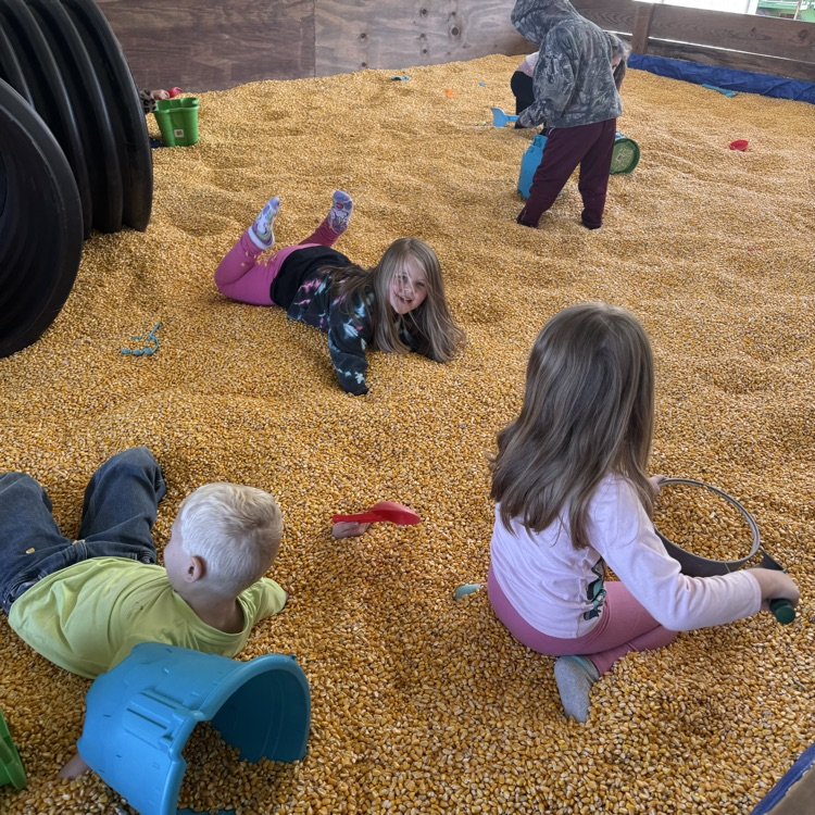 pumpkin patch