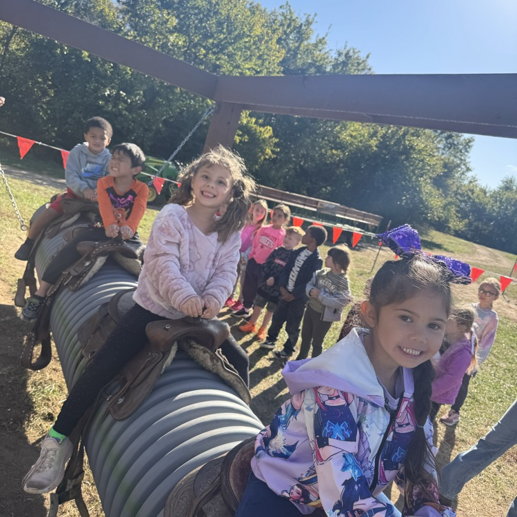 pumpkin patch