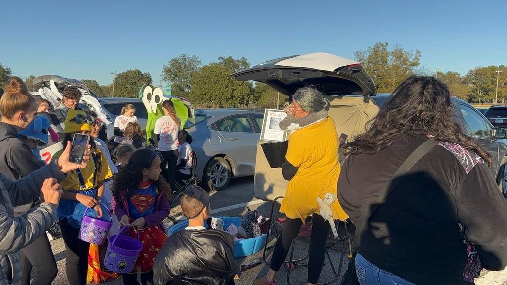 A crazy cat lady handed out candy and sought help looking for her missing cat.