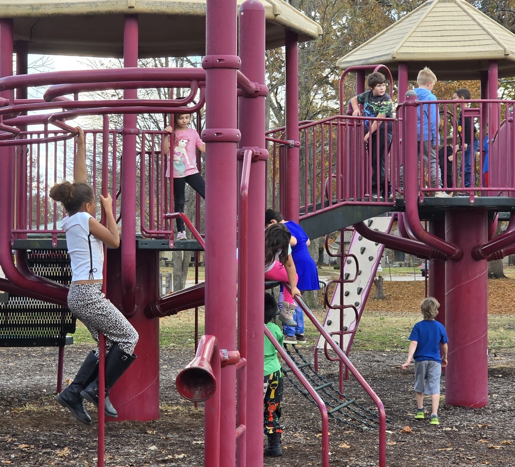 kids on the play equipment