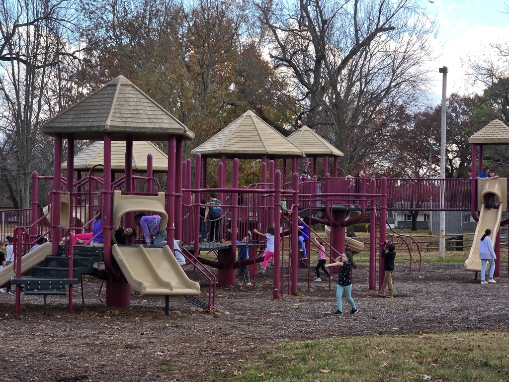kids playing at the park