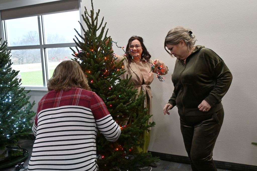 Staff string lights on the tree.