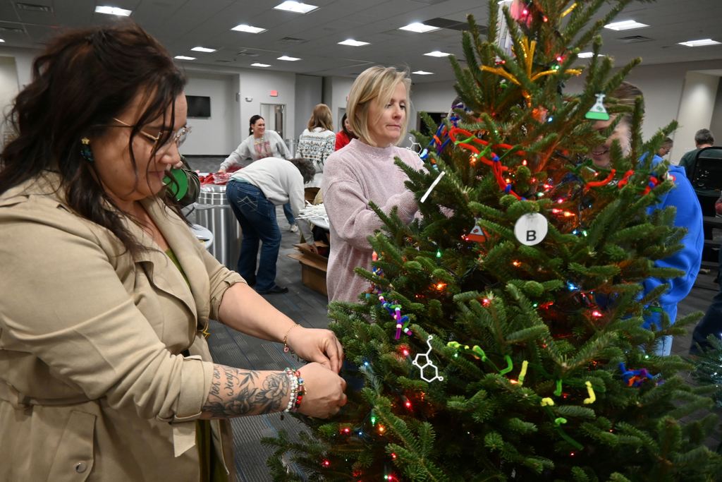 Staff add s cience decorations to the tree.
