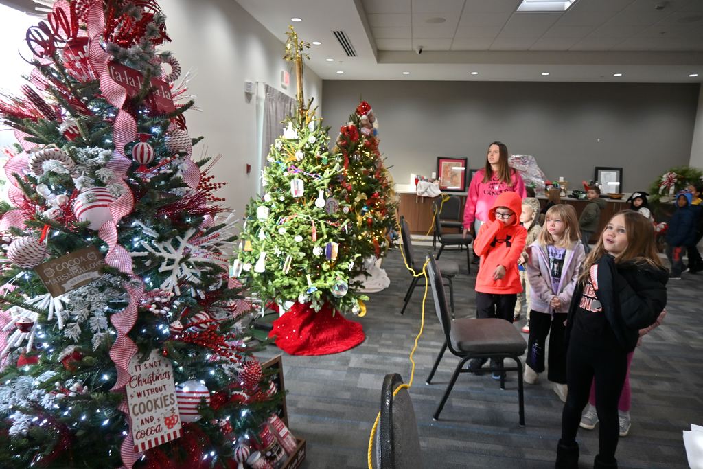Lincoln students and teachers check out the Stella Wells Christmas trees.