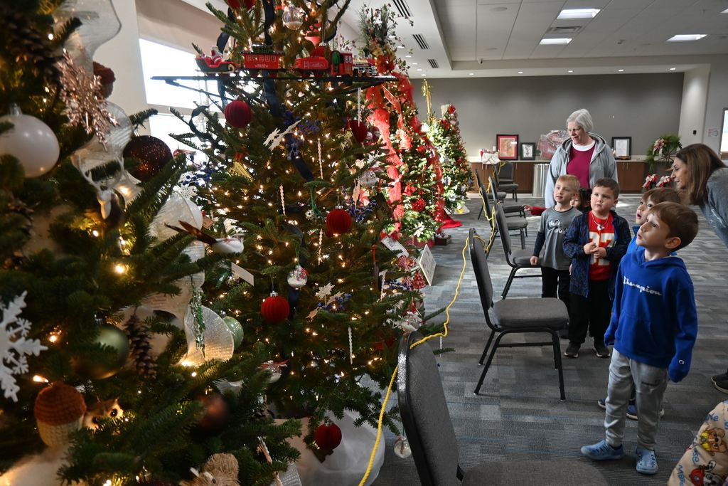 Lincoln students and teachers check out the Stella Wells Christmas trees.