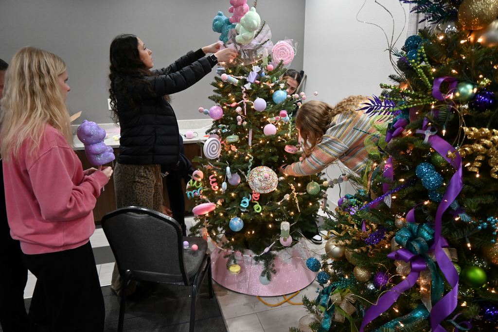 Lincoln students and teachers check out the Stella Wells Christmas trees.