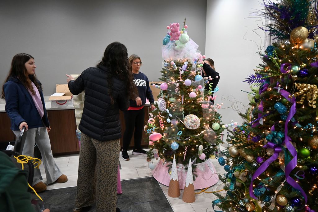 Lincoln students and teachers check out the Stella Wells Christmas trees.