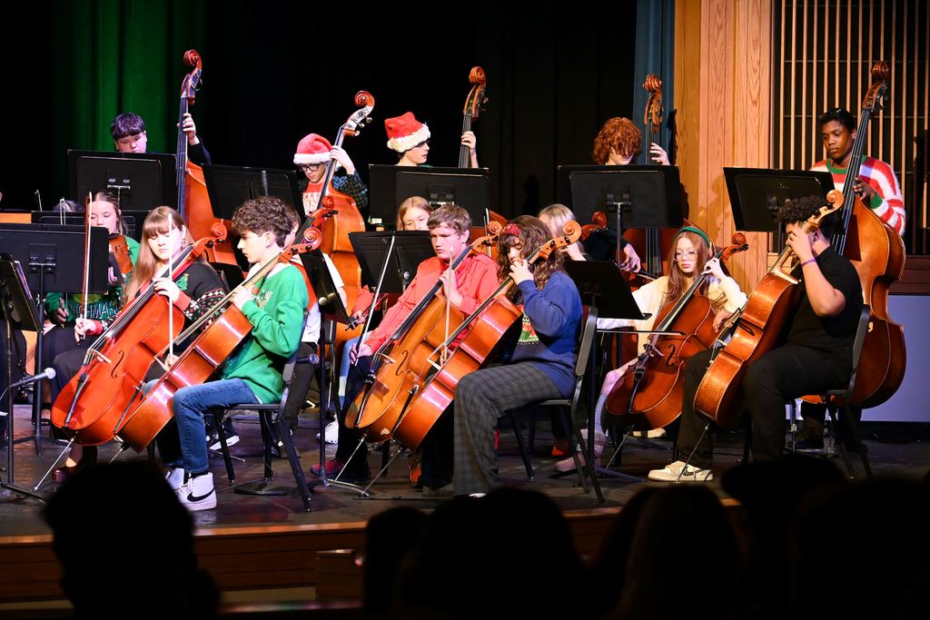 Orchestra students perform on stage.