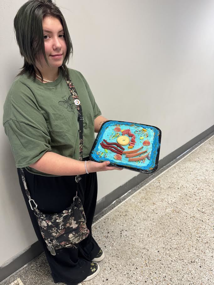 A girl holds up her cell model.
