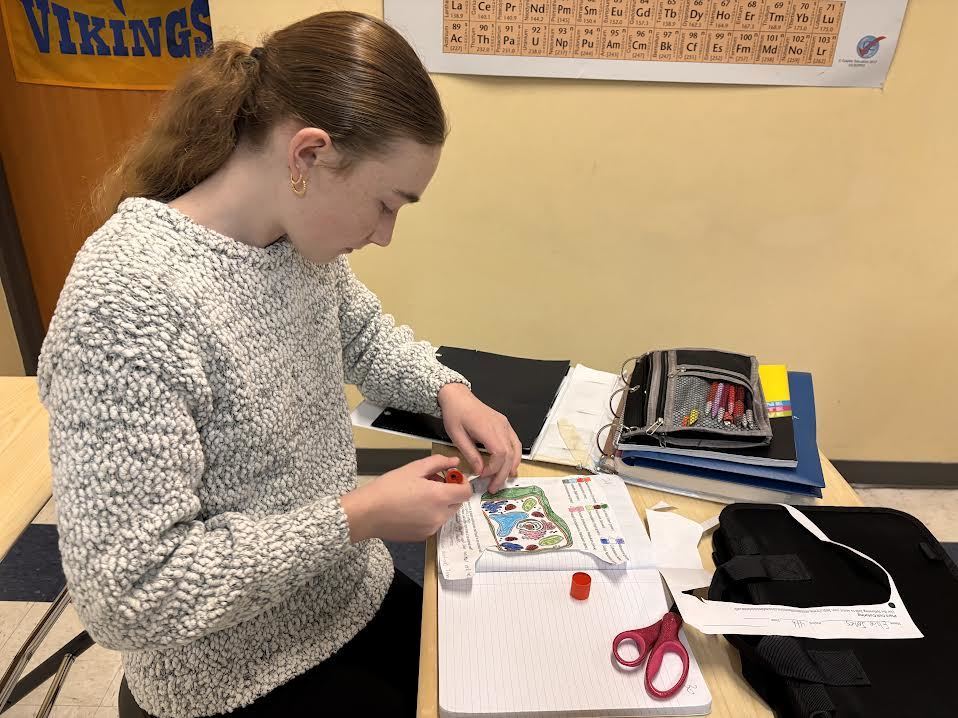 A student colors in a cell model.