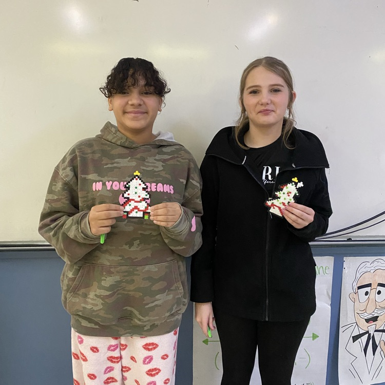 Little Debbie Snack Cakes