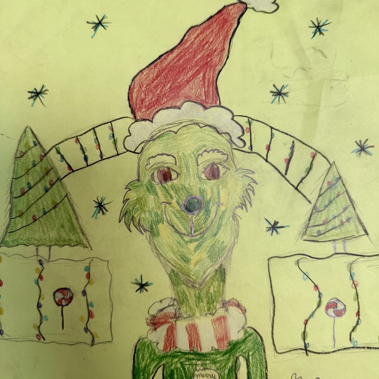 Grinch Style Portraits