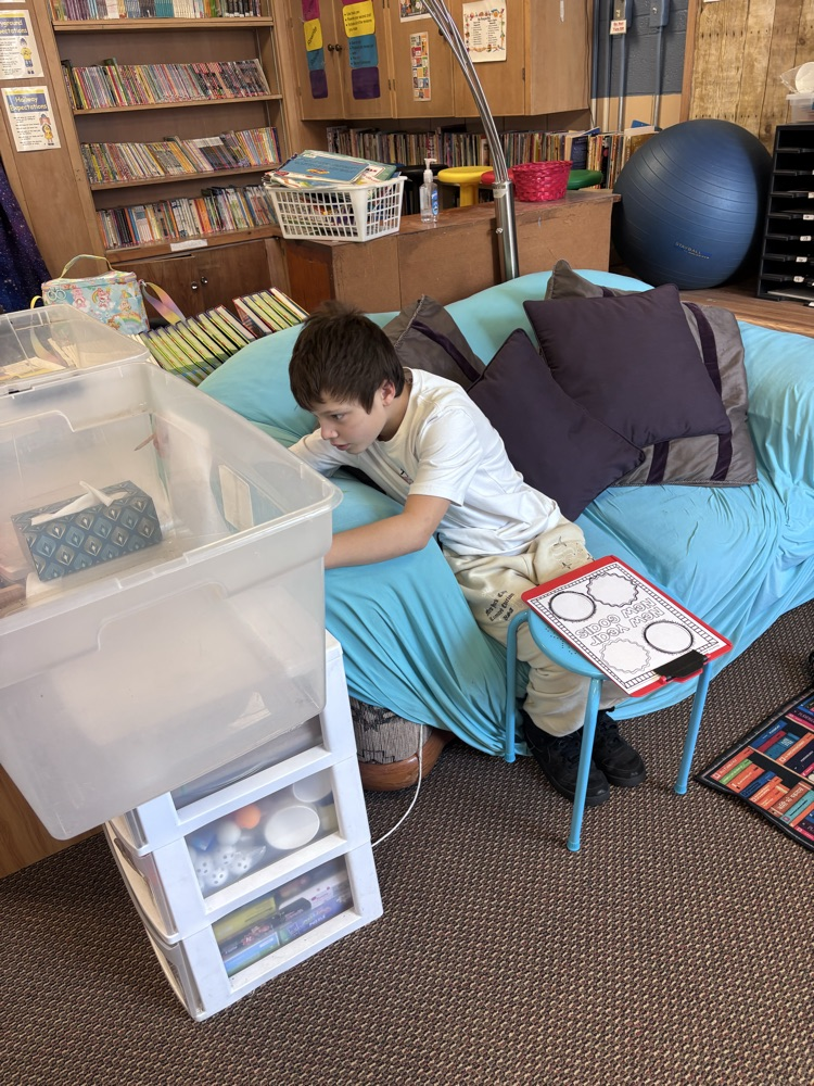 We are working hard making our new 2026 school year goals. 