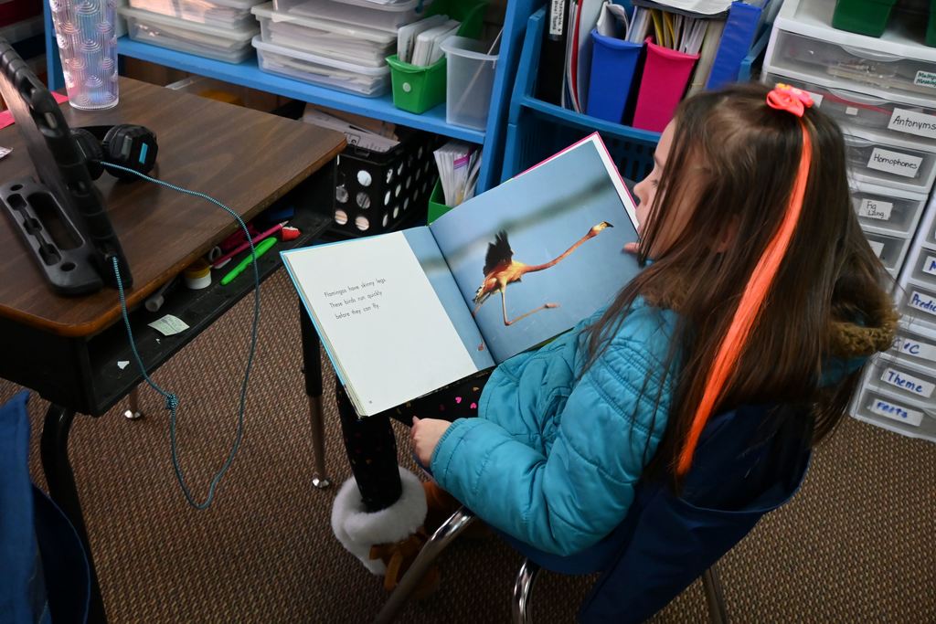 A third grade student reads a book.