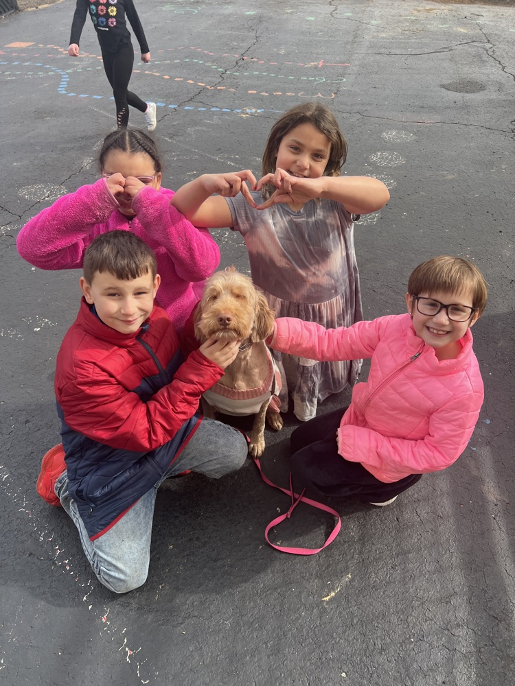  Sophia the therapy dog