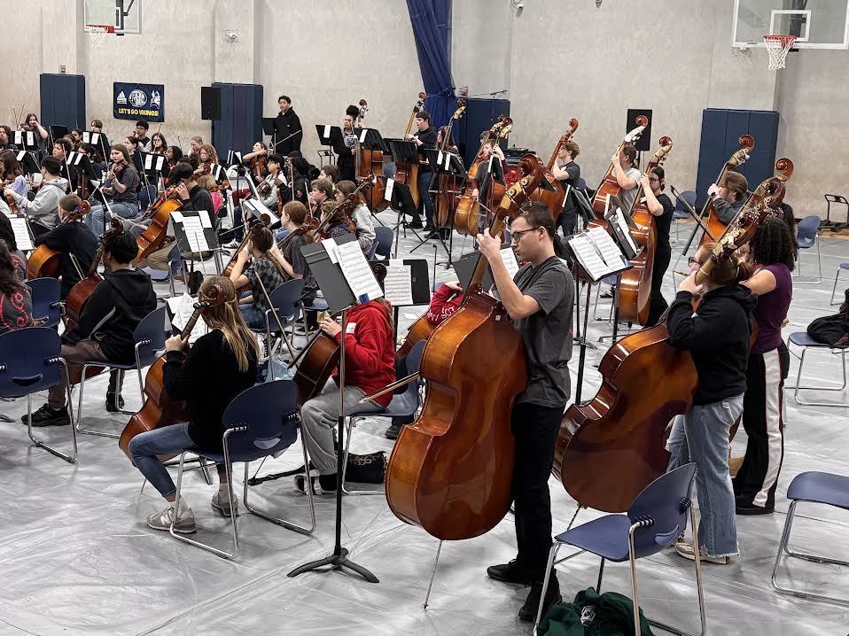 Students play basses and cellos.