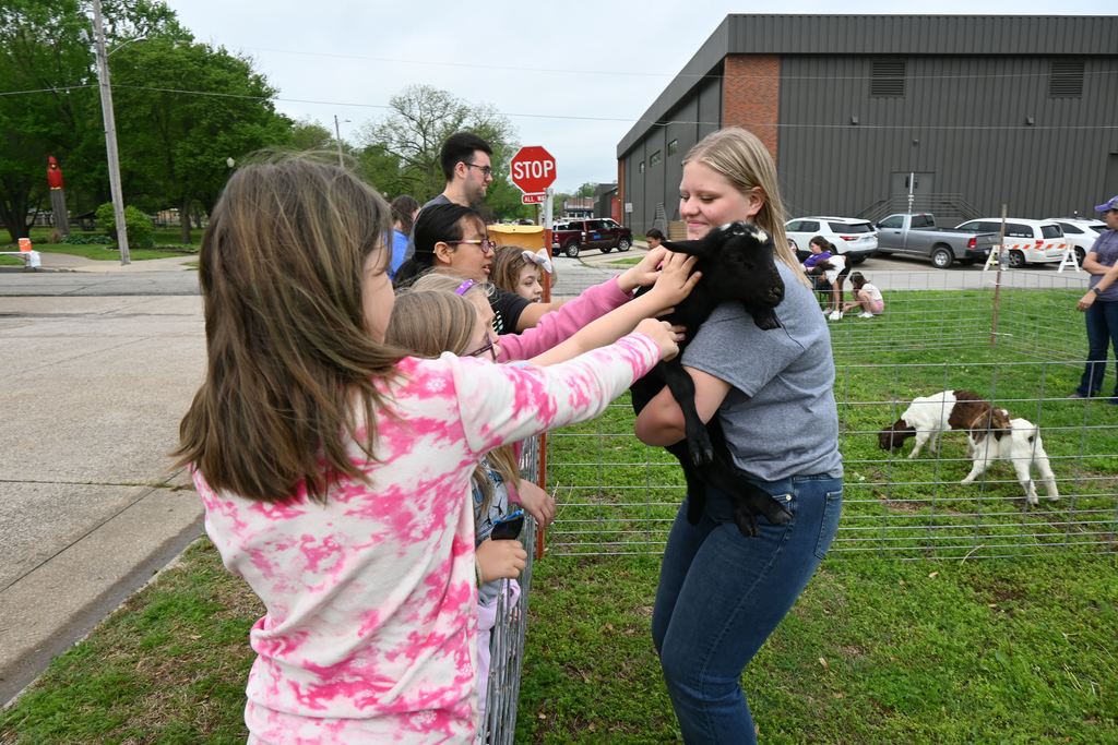 Students pet a lamb.