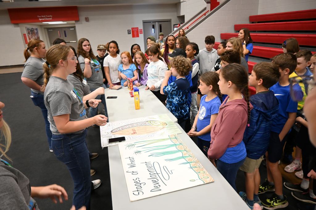 Students particpate in a quiz game on wheat.