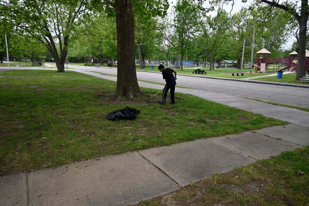 A student rakes under one of the trees in front of the pool house.