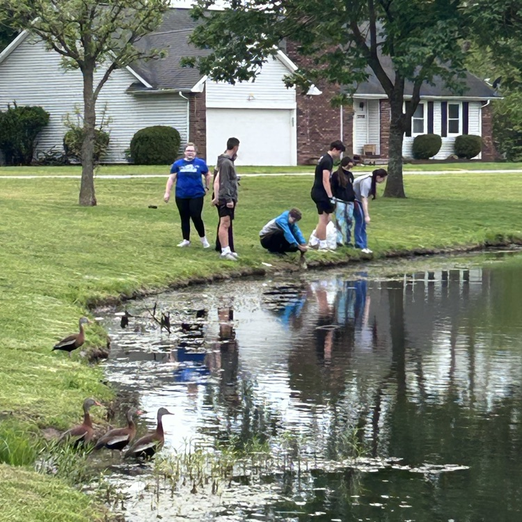 Prarie west with ducks 