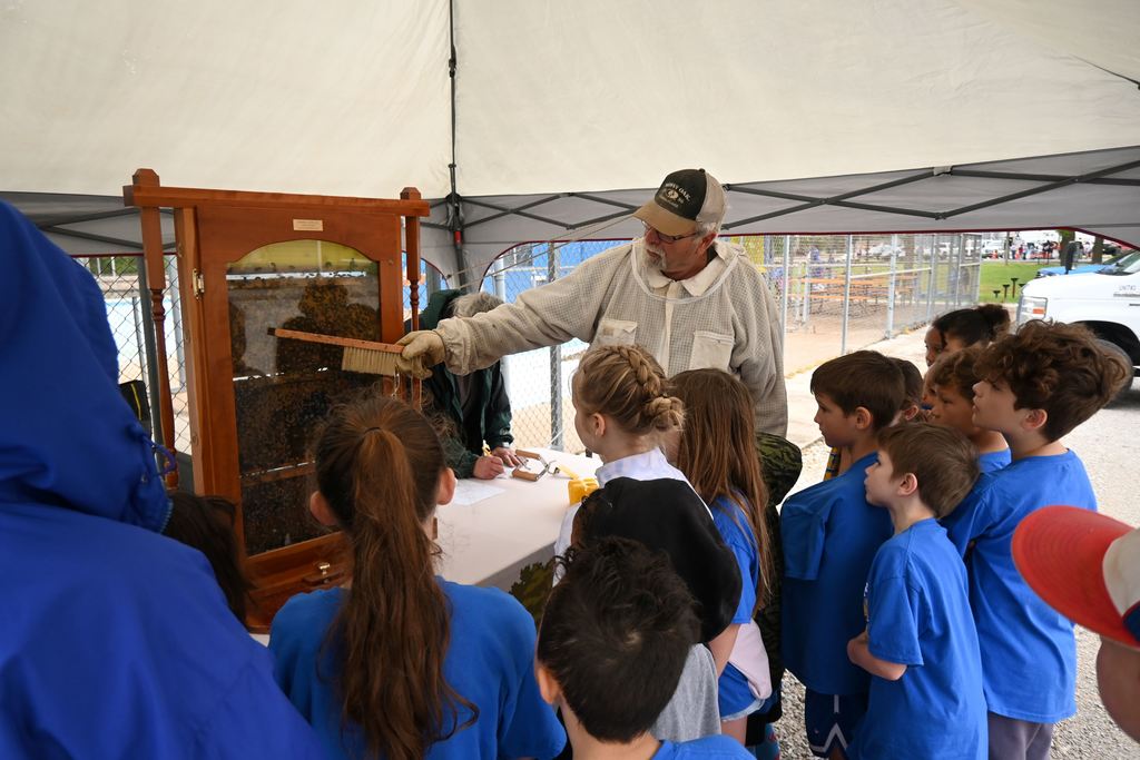 Students learn about honey bees.