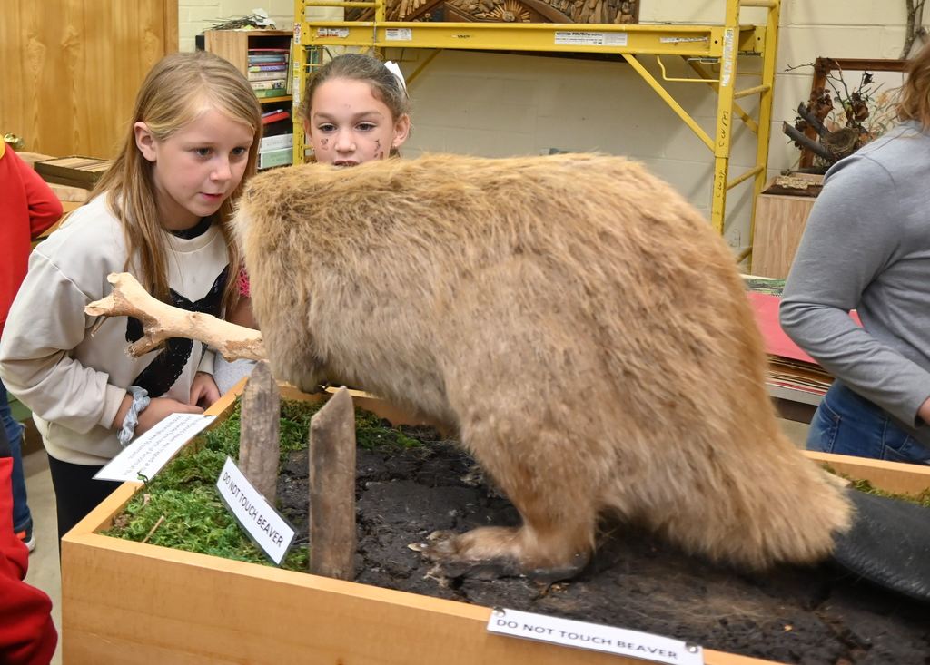 Some students get a close up look at a beaver.
