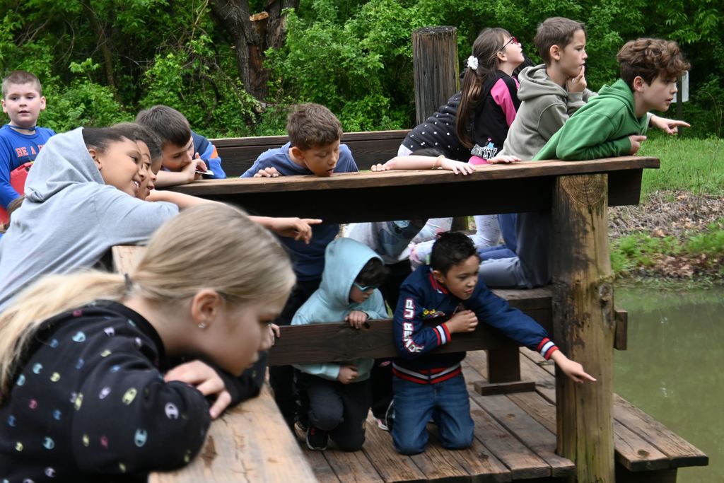 Students scope out some water turtles from the dock.