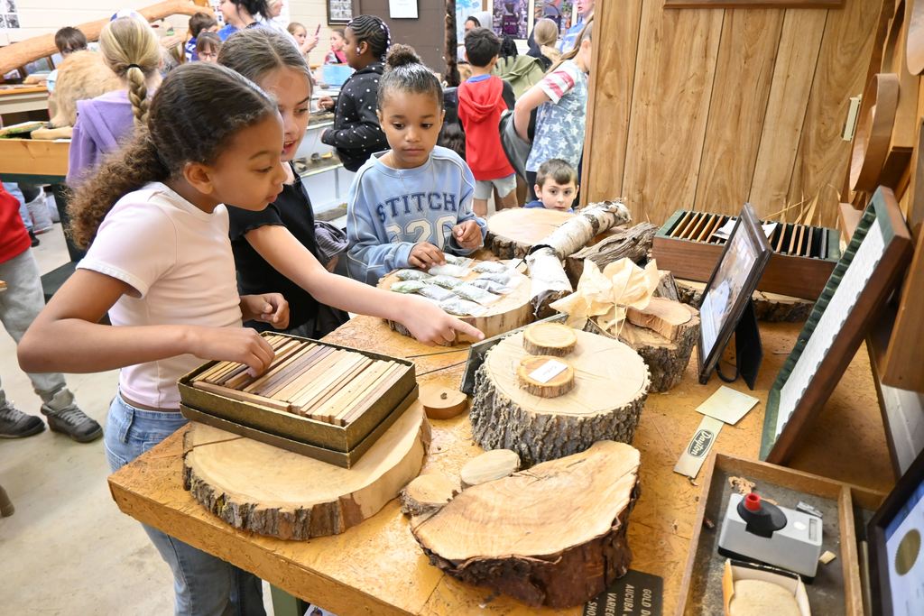 Students check out samples of different types of wood.