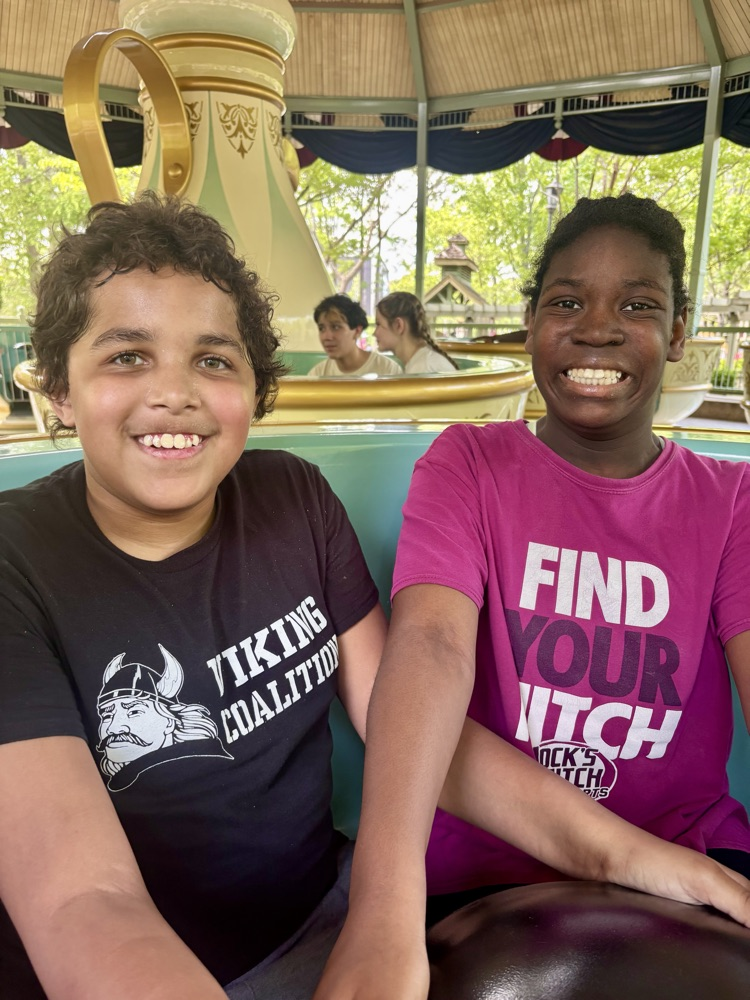 teacups