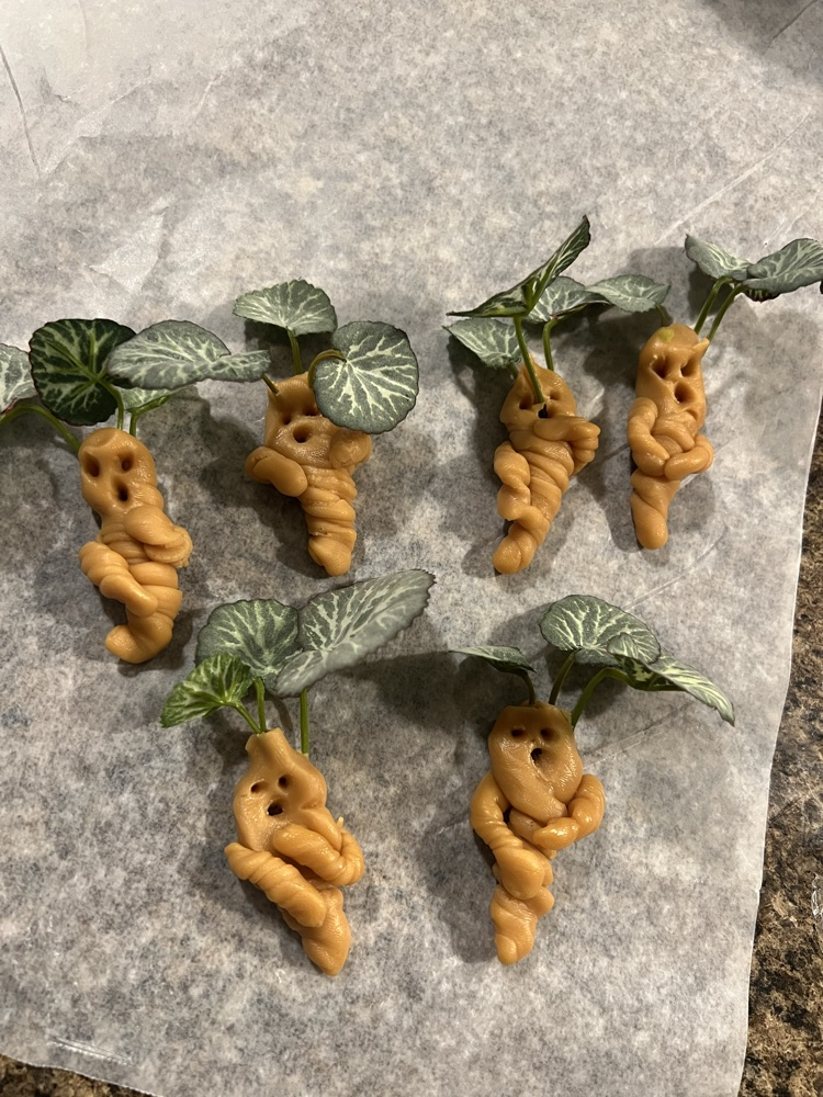 mandrake 