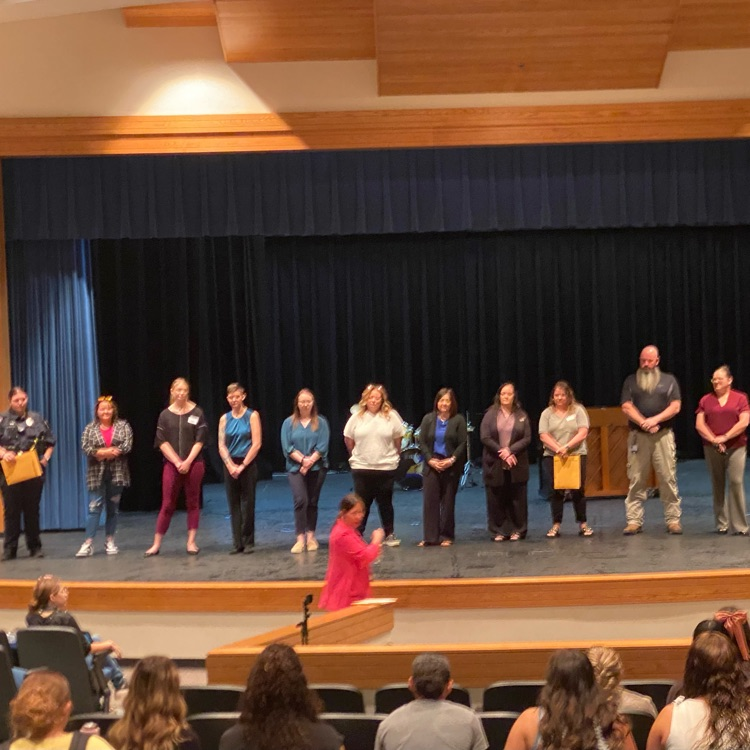 professionals being introduced
