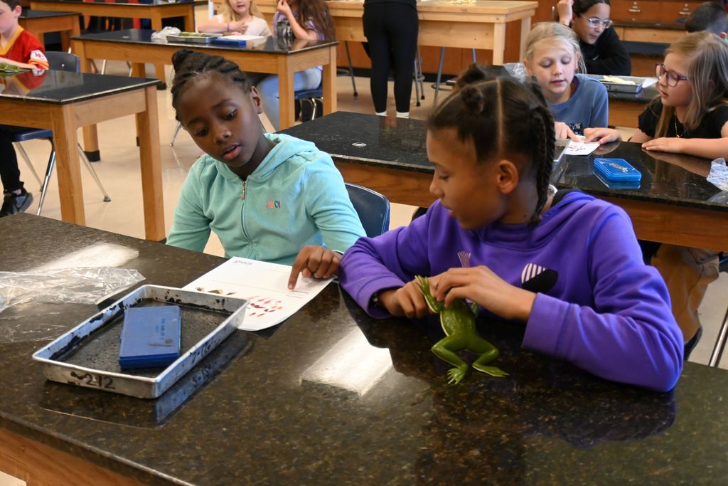 Two girls take a look at their frog and what they will be doing.