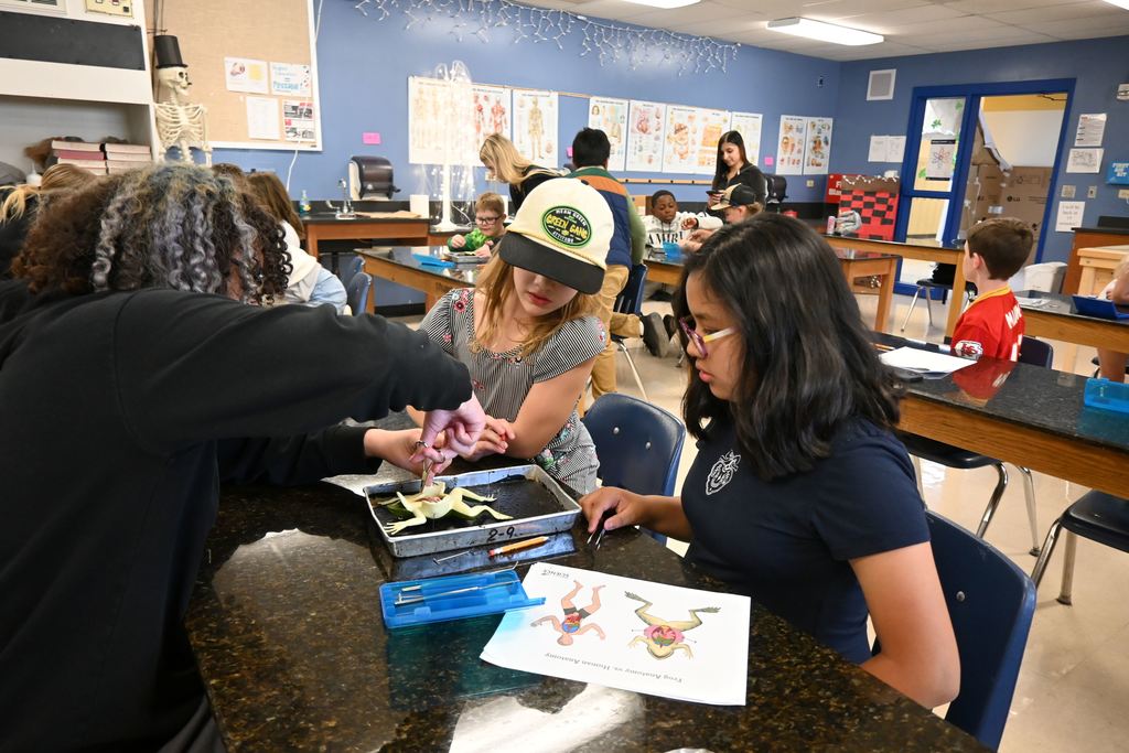 A CNA helps two young girls dissect a frog.