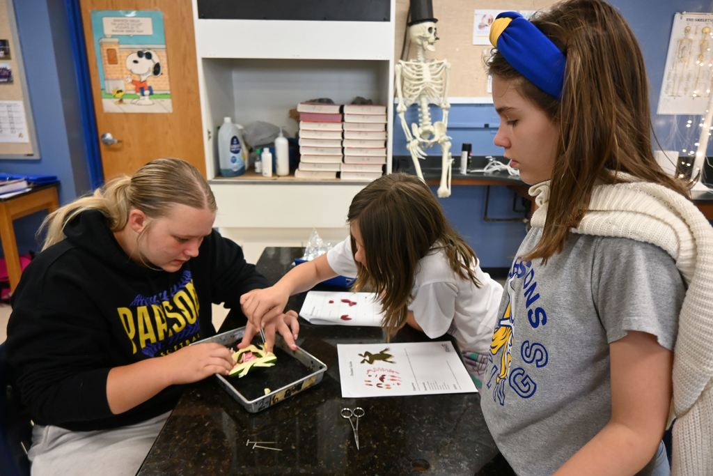 A CNA helps two young girls dissect a frog.