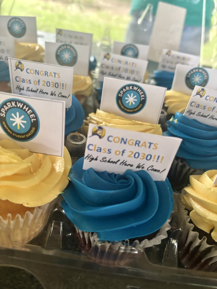 cupcakes