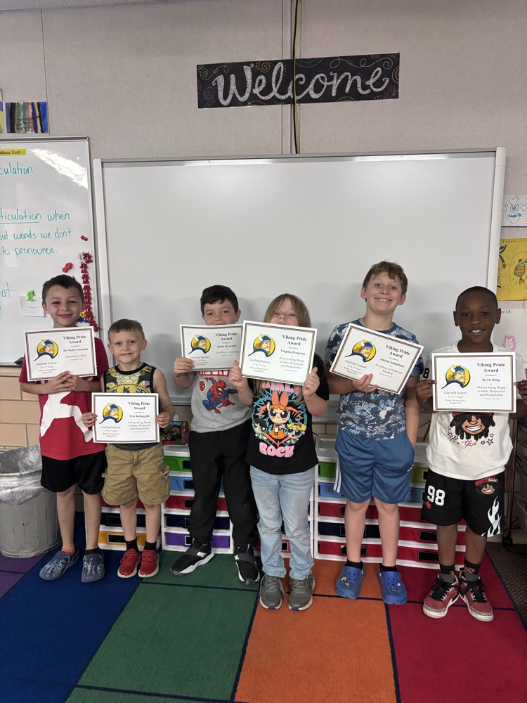 Viking awards
